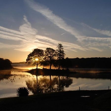 Bed and Breakfast Slebech Park Estate Wiston  Exterior foto Sunset over Lake Ouachita